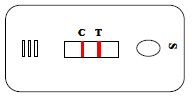 1789434152310551.png 2红.png